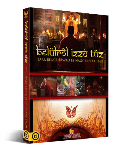 Belülről Izzó Tűz DVD cover