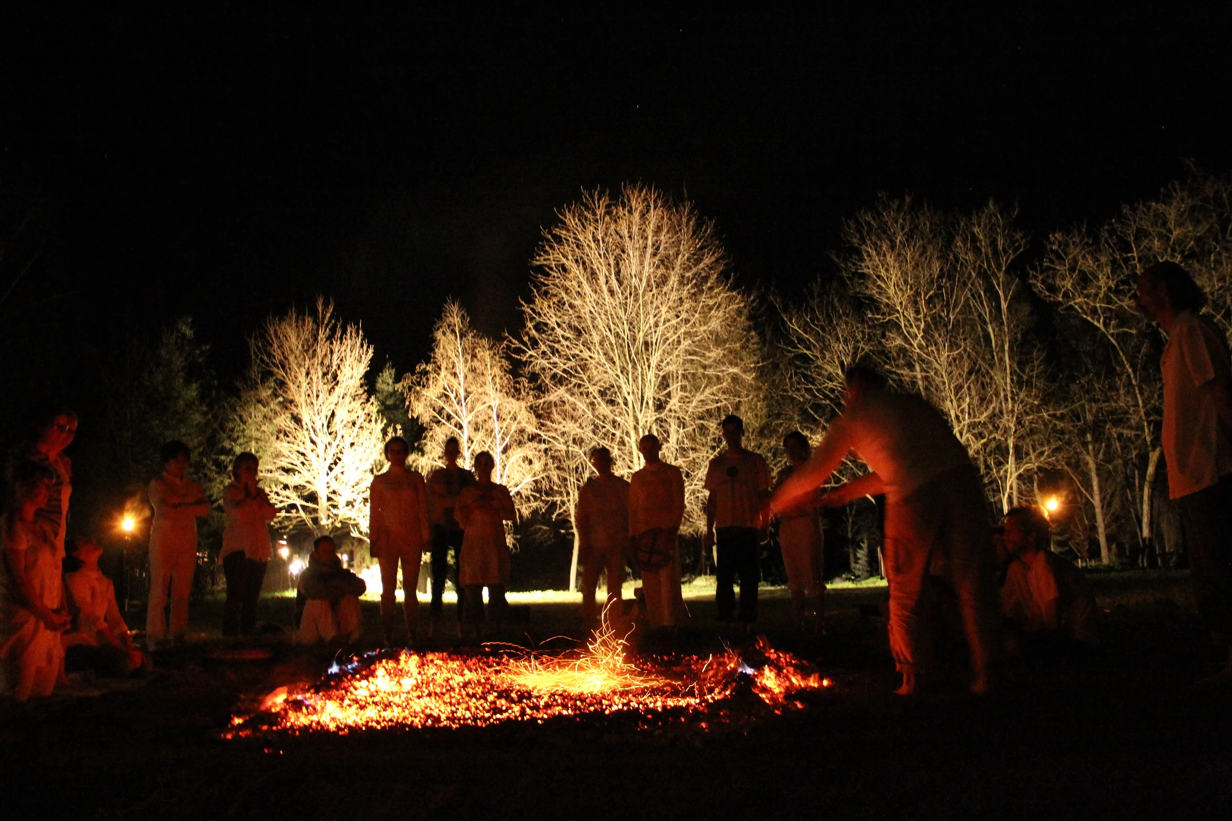 Between embers and illuminated trees