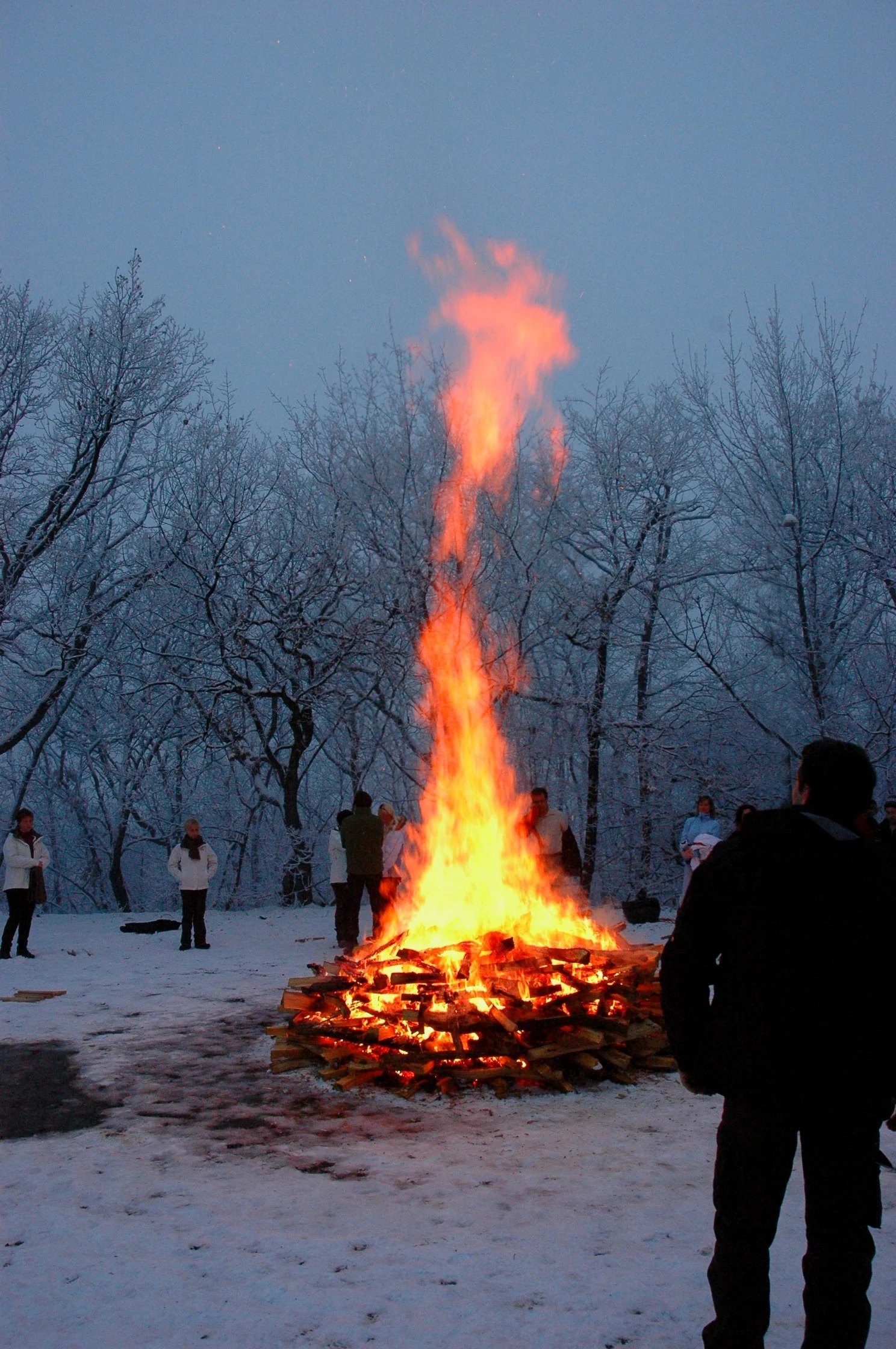 Fire in the winter landscape